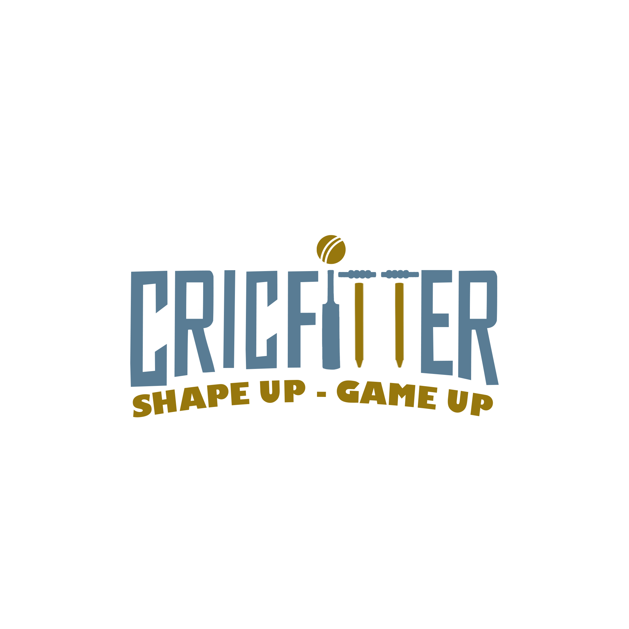 Cricfitter